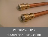 P1010262.JPG