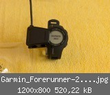 Garmin_Forerunner-210_-3106.jpg