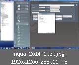 Aqua-2014-1.3.jpg