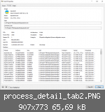 process_detail_tab2.PNG